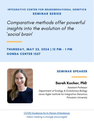Flyer for Sarah Kocher's ICNG Seminar scheduled on 5/23/2024, 12-1pm, Gonda 1357