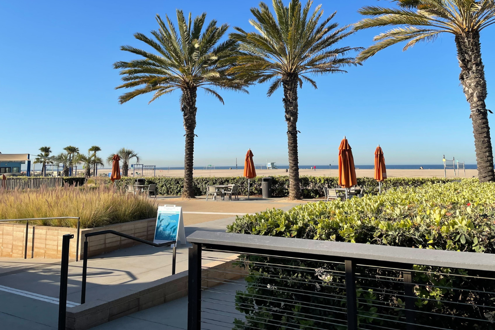View of the Santa Monica beach and palm trees from the Terrace Room on the morning of the Neurobehavioral Genetics Retreat hosted on May 12, 2022 at the Annenberg Community Beach House